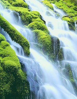 WaterFall_Project_FI