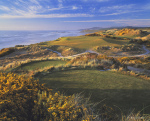 © Wood Sabold. All rights reserved. Toyo 4x5 view camera, Fuji Velvia film