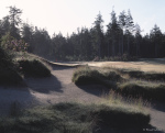 © Wood Sabold. All rights reserved. Toyo 4x5 large format view camera, Fuji Velvia 4x5 film.