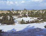 © Wood Sabold. All rights reserved. Pentax 6x7 medium format camera and Fuji Velvia film.