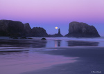 © Wood Sabold. All rights reserved. Toyo 4x5 large format camera. Fuji Velvia film