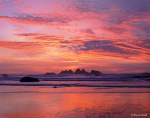 © Wood Sabold. All rights reserved. Toyo 4x5 large format camera. Fuji Velvia film
