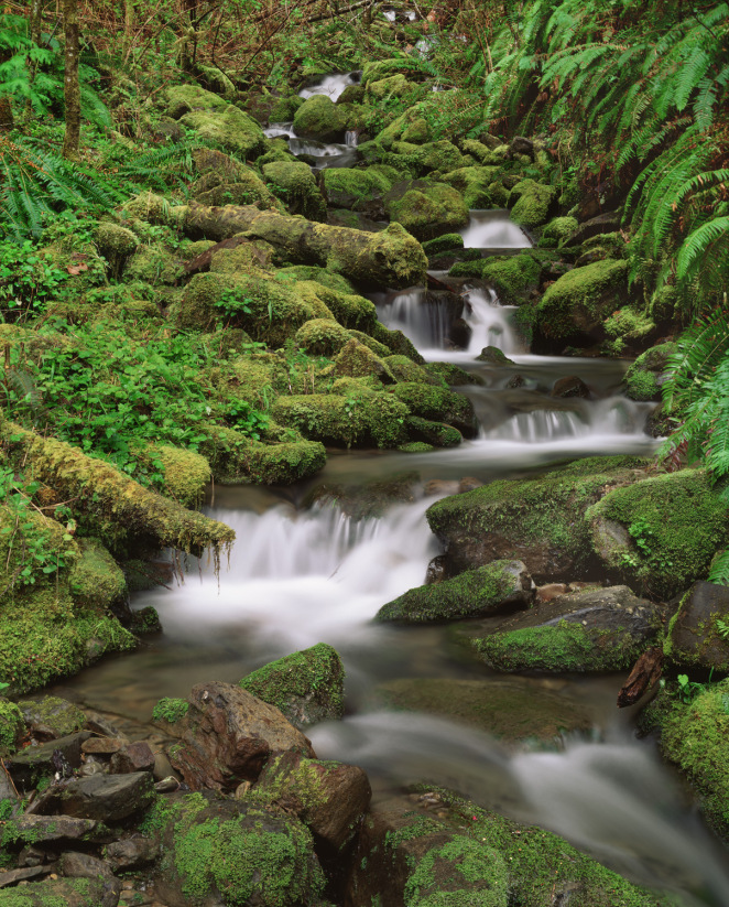 © Wood Sabold. All rights reserved. Toyo 4x5 large format view camera, Fuji Velvia 4x5 film.x