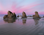 © Wood Sabold. All rights reserved. Pentax 6x7 medium format camera. Fuji Velvia film.
