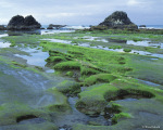 © Wood Sabold. All rights reserved. Toyo 4x5 large format camera. Fuji Velvia film