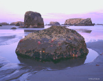 © Wood Sabold. All rights reserved. Toyo 4x5 large format camera. Fuji Velvia film