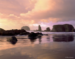 © Wood Sabold. All rights reserved. Pentax 6x7 medium format camera. Fuji Velvia film.