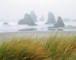 © Wood Sabold. All rights reserved. Toyo 4x5 large format camera, Fuji Velvia film.