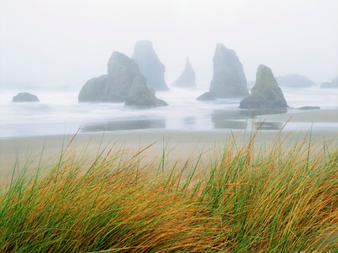 © Wood Sabold. All rights reserved. Toyo 4x5 large format camera, Fuji Velvia film.