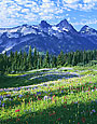 TATOOSH MTNS Image nws3.02