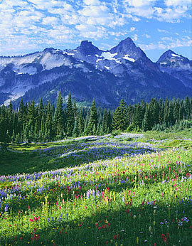 TATOOSH MTNS Image nws3.02