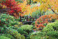 JAPANESE GARDEN Image nws3.03