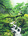 WAHKEENA CREEK Image nws3.05