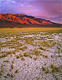 STEENS MOUNTAIN Image nws3.18
