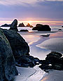 KITTENS SUNSET Image sea4.03