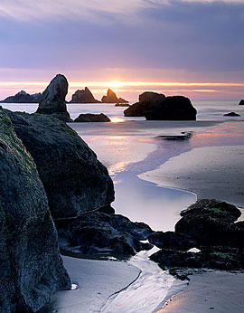 KITTENS SUNSET Image sea4.03