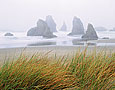 SEASTACKS IN FOG Image sea4.04
