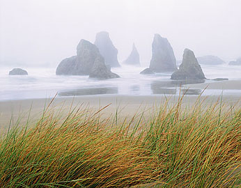 SEASTACKS IN FOG Image sea4.04