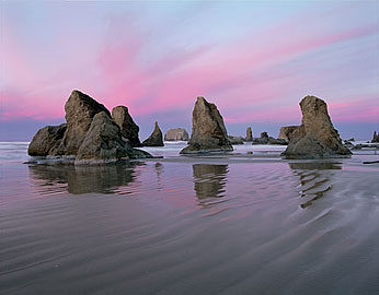 SEASTACKS AT DAWN Image sea4.06