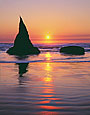 SEAGULL SUNSET Image sea4.07