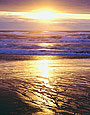 PACIFIC SUNSET Image sea4.10