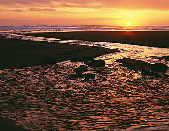 MYERS CREEK BEACH  Image sea4.15