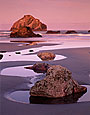 SUNLIT FACE RK Image sea4.16