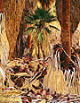 PALM GROUP Image tree5.16