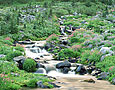 PARADISE RIVER Image wat6.08