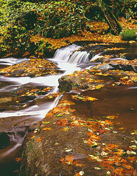 SITKUM CASCADE Image wat6.09