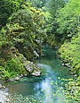 SPRING, ELK RIVER Image wat6.10