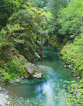 SPRING, ELK RIVER Image wat6.10