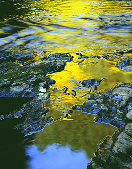 FALL REFLECTIONS Image wat6.13