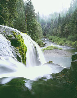 LEWIS RIVER Image wat6.16