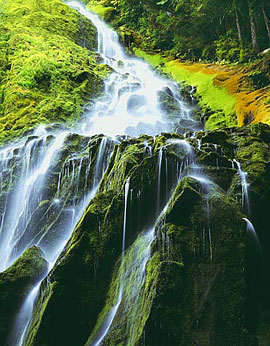 LOWER PROXY FALLS Image wat6.20