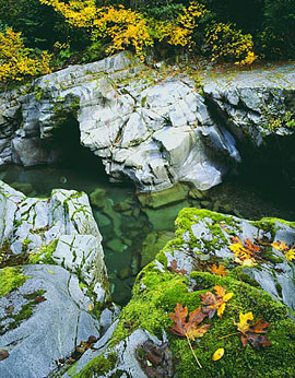 FALL, ELK RIVER Image wat6.21